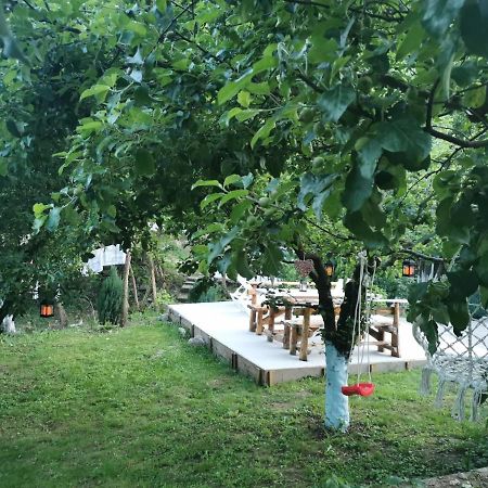 Casa Noastra Otel Orşova Dış mekan fotoğraf