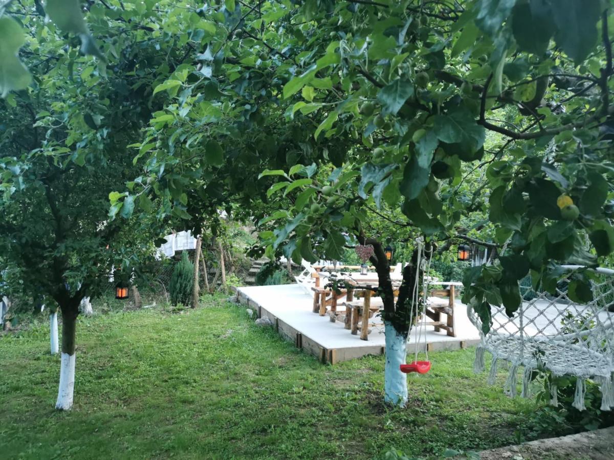 Casa Noastra Otel Orşova Dış mekan fotoğraf